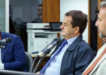 audiência pública ALMG