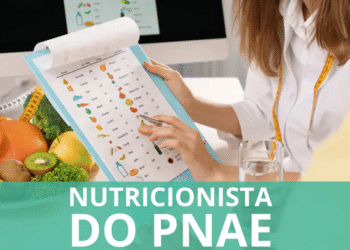 nutricionista pnae