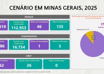 Alerta – Boletim Epidemiológico registra 131.975 casos confirmados de Dengue, Chikungunya e Zika em Minas Gerais neste ano