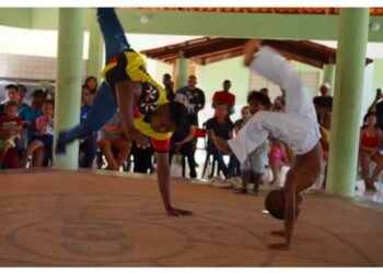 Selo Petronilha será entregue a redes com equidade racial nesta quinta (6/11)