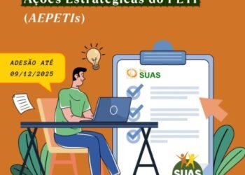 Termo de Aceite para Cofinanciamento Federal das AEPETIs já está disponível no sistema Sou SUAS