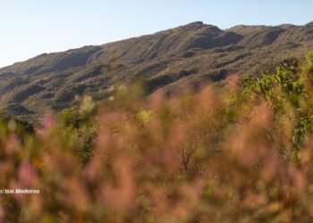 Censo Turismo 2025 revela avanços na gestão turística dos municípios mineiros