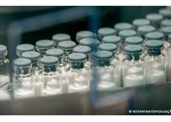 Vacina do Butantan contra a dengue começará a ser aplicada em janeiro