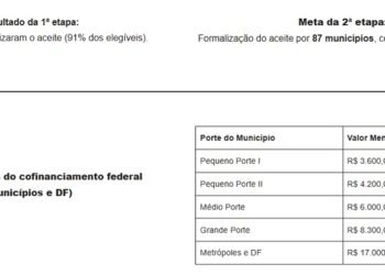 Termo de Aceite para o Cofinanciamento Federal das AEPETIs está disponível no sistema Sou SUAS – 2ª Etapa de Adesão