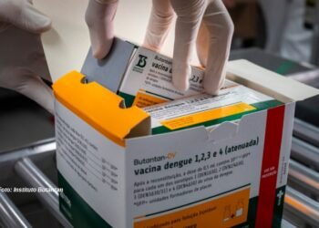 Aplicação da vacina contra dengue Butantan-DV começará a partir do dia 17 de janeiro