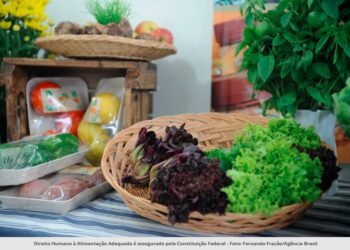 Combate à fome: Municípios têm até o dia 6 de março para responder ao questionário da Caisan Nacional