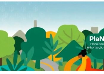 Publicada portaria que institui o Plano Nacional de Arborização Urbana (PlaNAU)