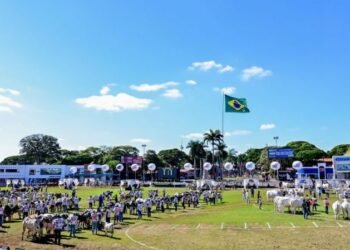 Campanha Minas Festas de Peão valoriza rodeios, exposições e tradições sertanejas em todo o estado