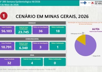Alerta – Boletim Epidemiológico de Monitoramento registra 30.089casos de Dengue, Chikungunya e Zika no Estado