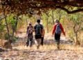 Guia de trilhas reúne informações sobre percursos, níveis de dificuldade e orientações para ampliar a segurança e a experiência dos visitantes