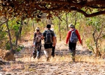 Guia de trilhas reúne informações sobre percursos, níveis de dificuldade e orientações para ampliar a segurança e a experiência dos visitantes
